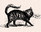 Victorian Purring Cat | Vintage Antique Kitty Kitten Cats Vector Clip Art SVG PNG JPG Digital