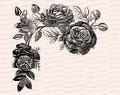 Victorian Roses Vector Clip Art | Vintage Floral, Flower | Instant Download SVG PNG JPG