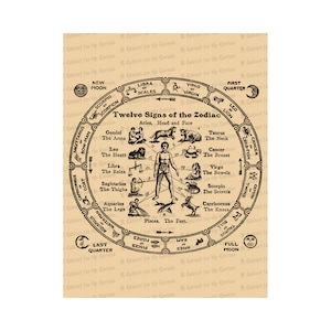 Digital 1920 Carta Astrológica / Signos del Zodiaco Vintage Descarga Instantánea / Astrology Vector Clip Art SVG PNG JPG