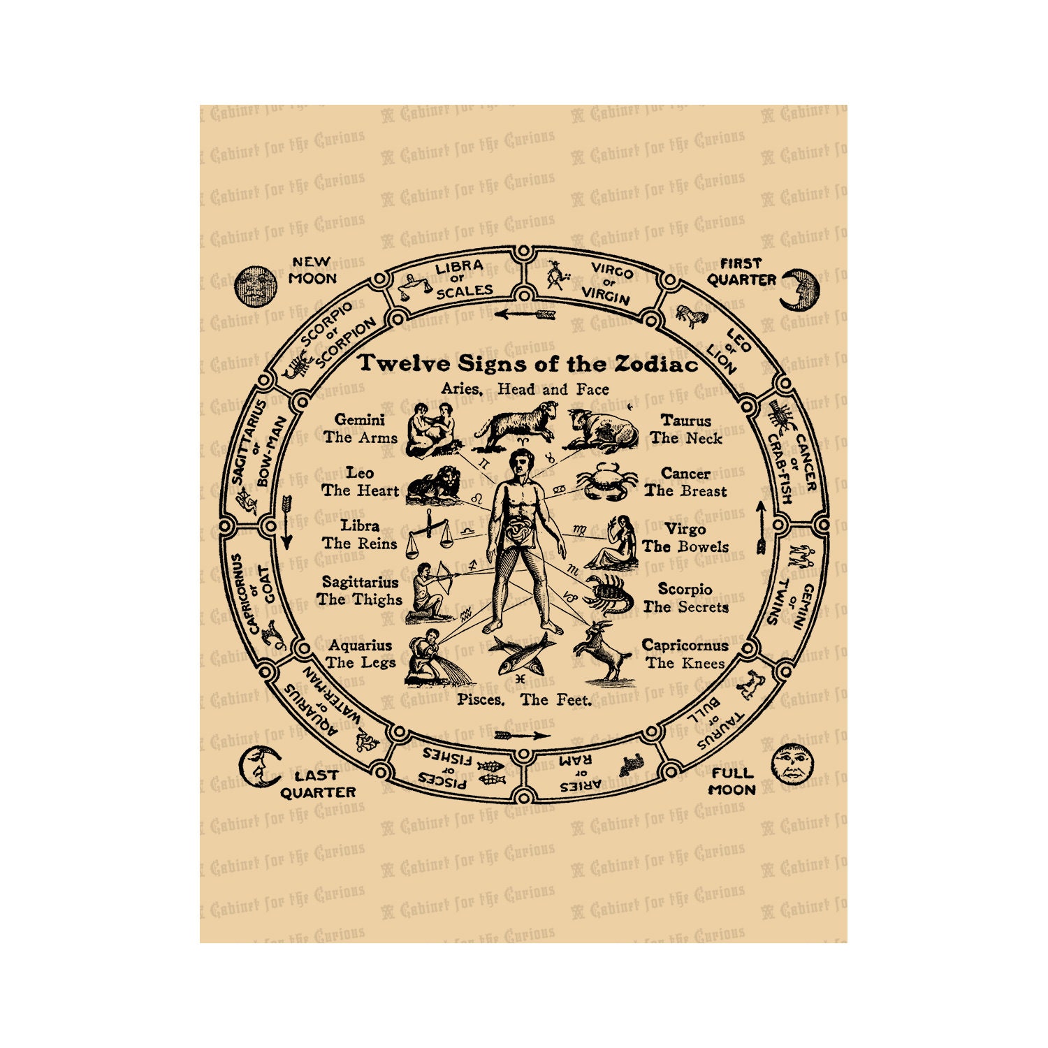 Digital 1920 Astrological Chart Vintage Zodiac Signs Instant Download