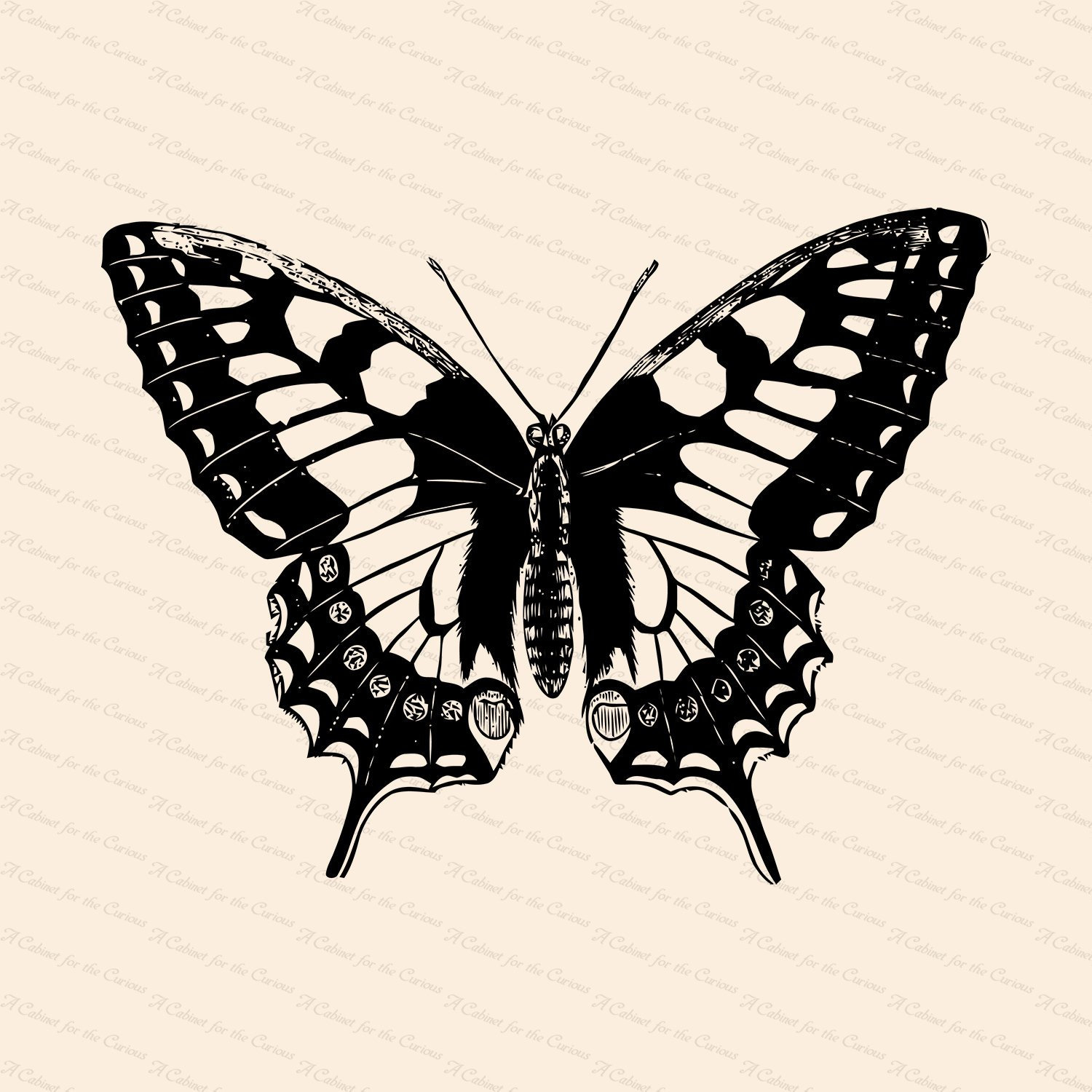 Victorian Swallow-tailed Butterfly (papilio Machaon) Vector Clip