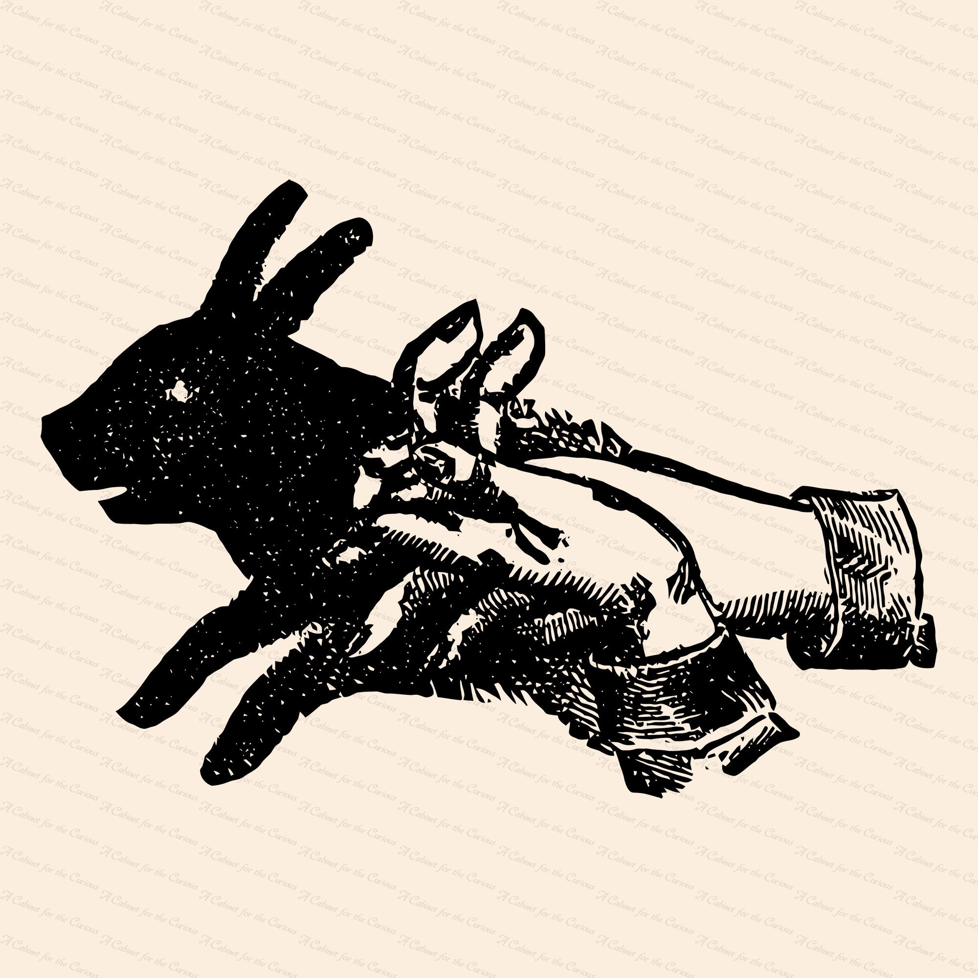 Vintage Victorian Shadow Puppet 1890s Rabbit Shadow Vector Etsy