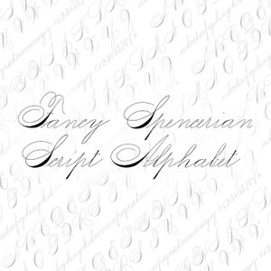 Vector Clipart Spencerian Penwork Alphabet Letters  | Vintage Victorian Ornamental Cursive Script Uppercase, Lowercase | Calligraphy SVG PNG