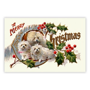 Carta piatta stampabile per cani di Natale: Shaggy White Dog Victorian Toy Poodle Maltese Merry Christmas 4x6 Print Ready JPG Download digitale