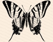 Victorian Scarce Swallow-tailed Butterfly (Papilio podalirius) Vector Clip Art | Vintage Insect | Instant Download SVG PNG JPG