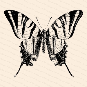 Papillon à queue d’hirondelle rare de l’époque victorienne (Papilio podalirius) Vector Clip Art | | d’insectes vintage Téléchargement instantané SVG PNG JPG
