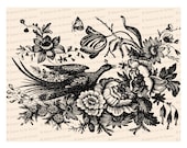 Victorian Pheasant with Butterfly and Flowers Vector Clip Art | Vintage Bird, Floral, Insects | Instant Download SVG PNG JPG