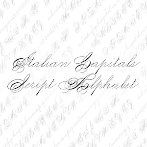 Vector Clipart Fancy Italian Alphabet Letters  | Vintage Victorian Ornamental Cursive Script Uppercase, Lowercase | Calligraphy SVG PNG