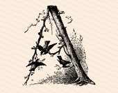 Ornamental Penwork Initial Letter A Vector Clipart  | Victorian Nature Capital Letter A, Rustic Woodland Birds Antique Monogram SVG PNG JPG