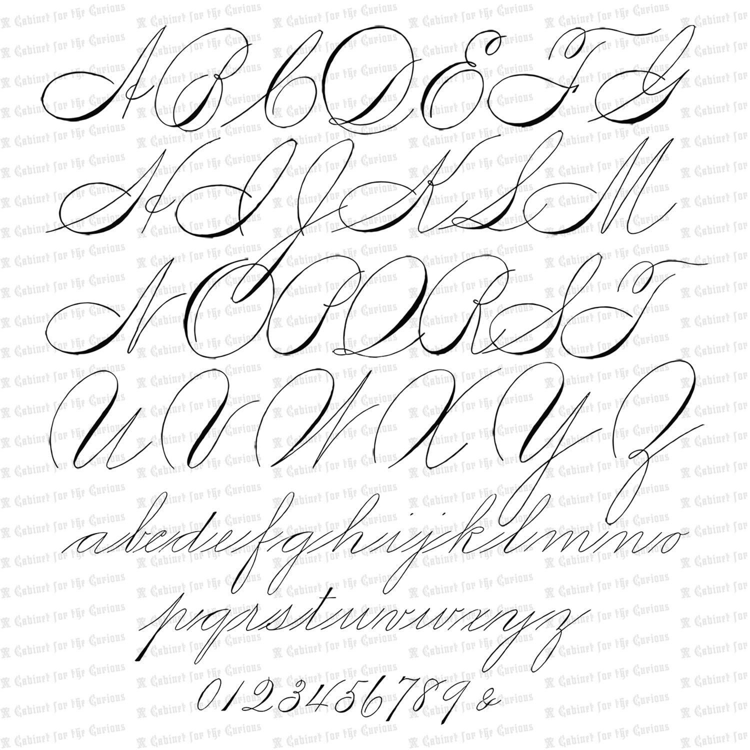 Vector Clipart Spencerian Penwork Alphabet Letters | Vintage Victorian ...