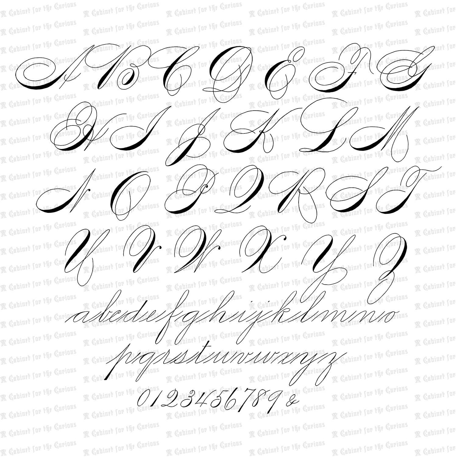 Vector Clipart Spencerian Penwork Alphabet Letters | Vintage Victorian ...