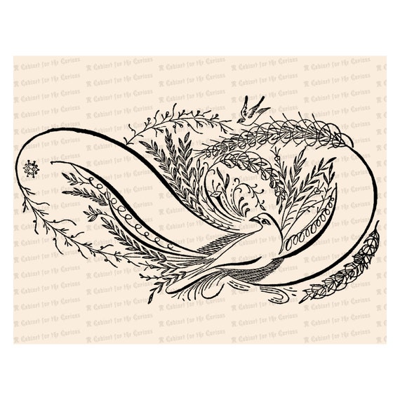 Fancy Blank Banner With Birds Vector Clip Art Victorian Etsy