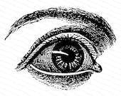 Vintage Victorian Eye Vector Clipart | Antique Human Eye Instant Digital Download SVG PNG JPG