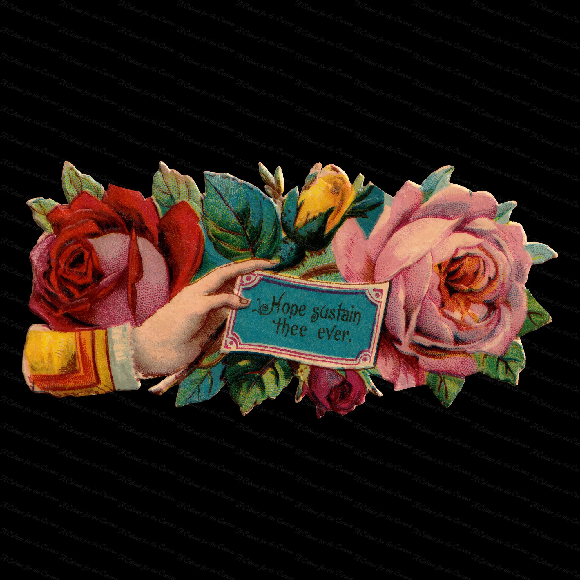 Victorian Die Cut Hand Holding Blank Card With Roses Shabby Etsy