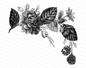 Victorian Spray of Flowers Vector Clip Art | Antique Vintage Floral, Flower | Instant Digital Download SVG PNG JPG