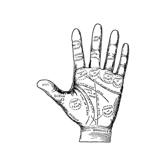 Palmistry Palm Reading Mystic Psychic Spiritual Gift T-Shirt Palmistry Palm Reading Mystic Psychic Spiritual Gift T-Shirt