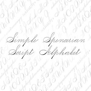 Vector Clipart Spencerian Penwork Alphabet Letters / Vintage Victorian Ornamental Cursive Script Mayúscula, Minúscula / Caligrafía SVG PNG
