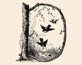Ornamental Penwork Initial Letter D Vector Clipart  | Victorian Nature Capital Letter D, Rustic Woodland Birds Antique Monogram SVG PNG JPG
