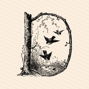 Pluma ornamental Letra inicial D Vector Clipart / Victorian Nature Capital Letter D, Rustic Woodland Birds Antique Monogram SVG PNG JPG