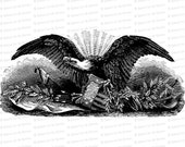 Vintage Patriotic Bald Eagle | Antique Victorian Eagle with Shield, Olive Branch, Constitution, Arrows, other symbols | SVG PNG JPG