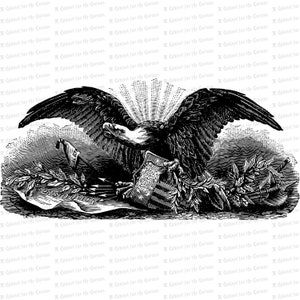 Vintage Patriotic Bald Eagle / Antica aquila vittoriana con scudo, ramo d'ulivo, costituzione, frecce, altri simboli / SVG PNG JPG