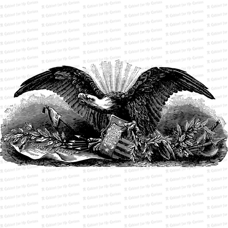 Vintage Patriotic Bald Eagle Antique Victorian Eagle with Shield, Olive Branch, Constitution, Arrows, other symbols SVG PNG JPG image 1