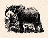 Victorian Elephant Vector Clipart | Antique Vintage Elephant| Instant Download Clipart | SVG PNG JPG