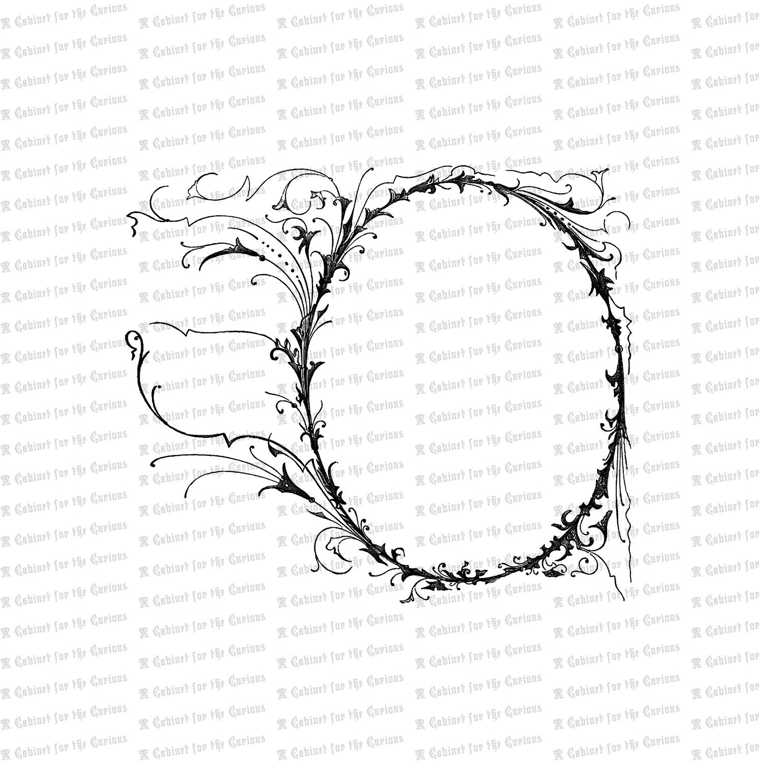 Digital Vintage Victorian Ornate Oval Frame | Antique Fancy
