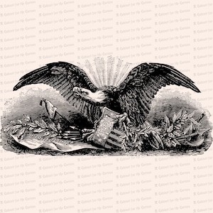 Vintage Patriotic Bald Eagle Antique Victorian Eagle with Shield, Olive Branch, Constitution, Arrows, other symbols SVG PNG JPG image 2