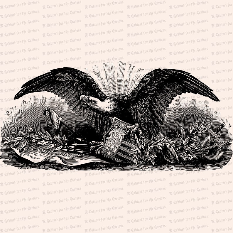 Vintage Patriotic Bald Eagle Antique Victorian Eagle with Shield, Olive Branch, Constitution, Arrows, other symbols SVG PNG JPG image 2