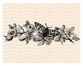 Victorian Moth / Butterfly with Roses Vector Clip Art | Vintage Floral, Insect | Instant Download SVG PNG JPG