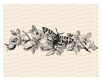 Victorian Moth / Butterfly with Roses Vector Clip Art | Vintage Floral, Insect | Instant Download SVG PNG JPG