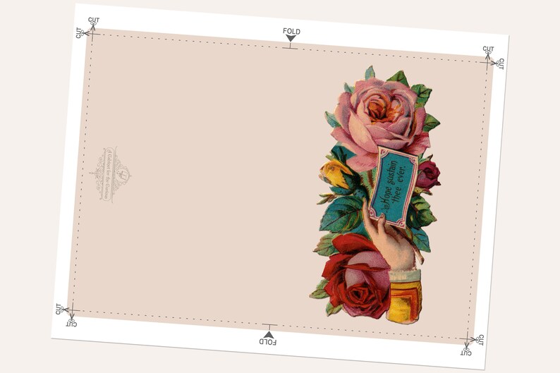 May include: A vintage greeting card with a pink and red rose bouquet and a hand holding a blue card with the text "Hope sustain thee ever!"