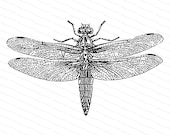 Victorian Dragonfly  | Antique Vintage Insect Vector Clip Art SVG PNG JPG Instant Digital Download