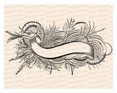 Fancy Blank Banner with Birds Vector Clip Art | Victorian Penwork Flourishing | Digital Instant Download SVG PNG JPG