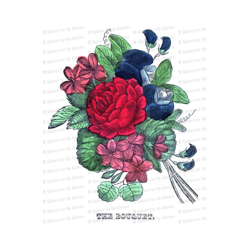 Download Vintage Floral Color Plate Antique Bouquet Png Jpg Svg Victorian Flowers Vector Clip Art Clip Art Art Collectibles Vadel Com