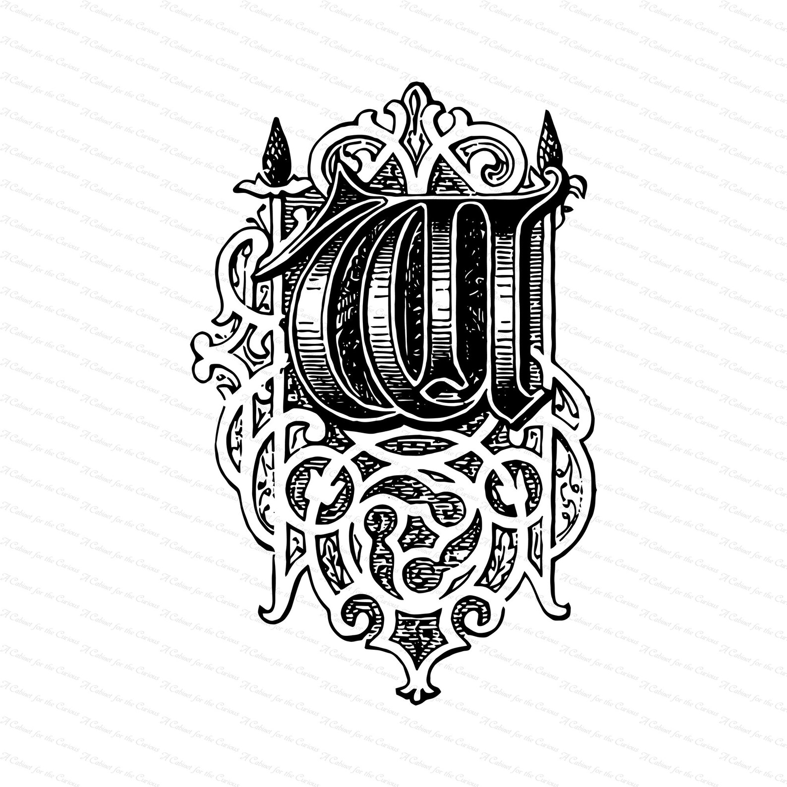 Ornamental Penwork Initial Letter W Vector Clipart Vintage Victorian ...