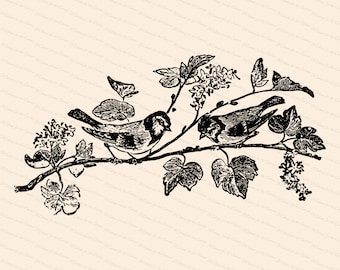 Victorian Birds on Flowering Tree Branch Vector Clipart | Antique Small Song Birds SVG PNG JPG Instant Download