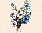 Victorian Floral Blue and White Pansies Vector Clip Art | Antique Pansy Flower | Vintage Viola Botanical Color Instant Download PNG JPG SVG