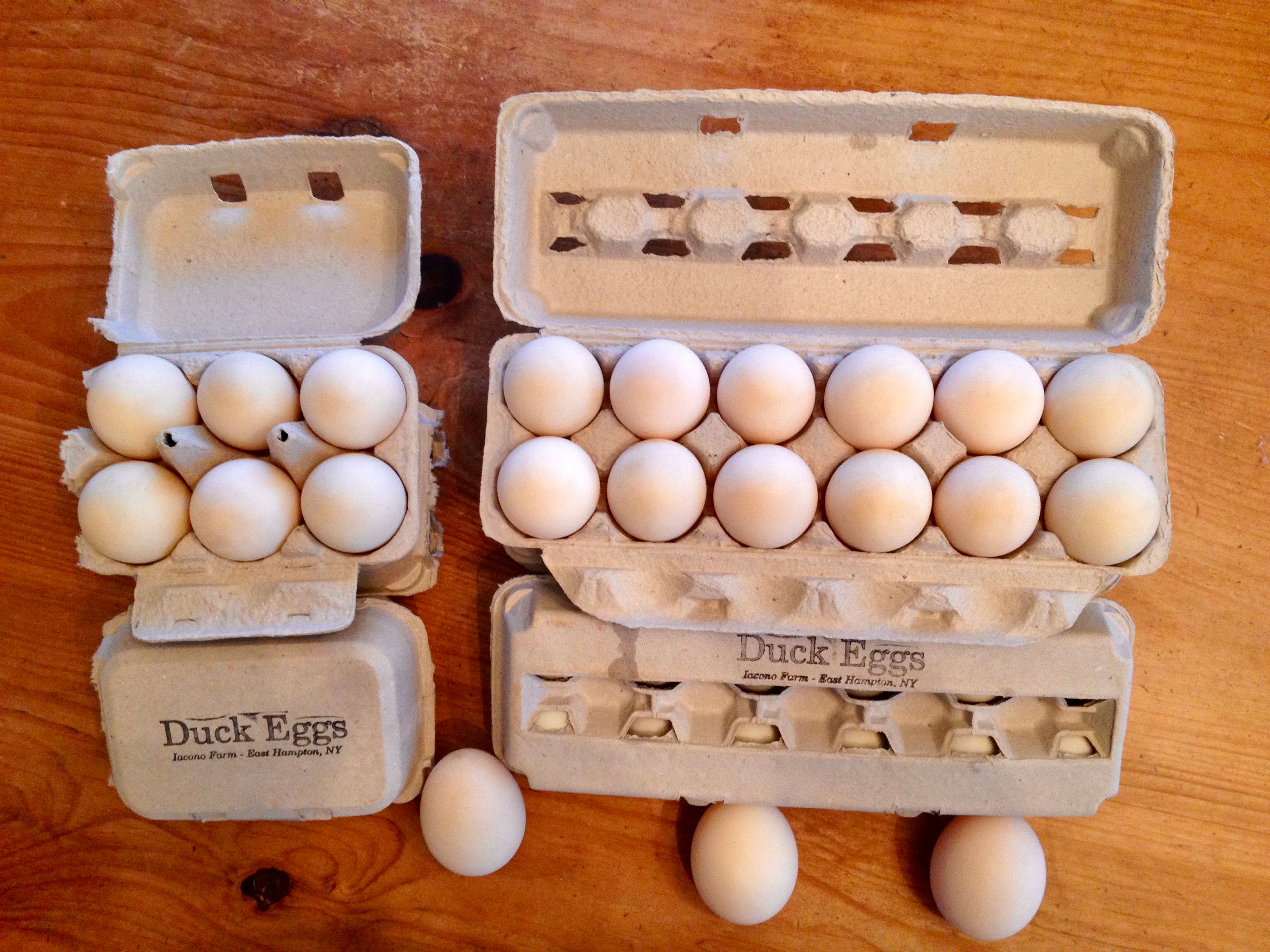 Duck Eggs Extra Large Great for Eating or Baking Pasture Etsy