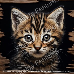 Glowforge 3D Illusion Cat 3D Illusion OMTech Laser Digital Download PNG SVG Image Laser Cut Etch File