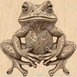 May include: A detailed line drawing of a frog sitting with its legs crossed. The frog is drawn in a stylized manner with intricate patterns and details on its skin.