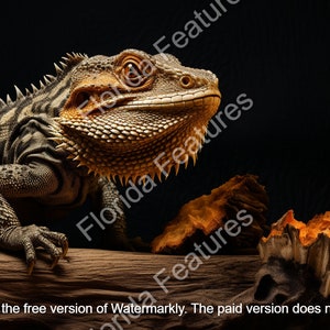 Bearded Dragon Laser Etch: 3D Illusion Wood Art (PNG SVG Digital Download)