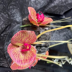 Set of 2 Cymbidium Orchid Boutonnières with Pins