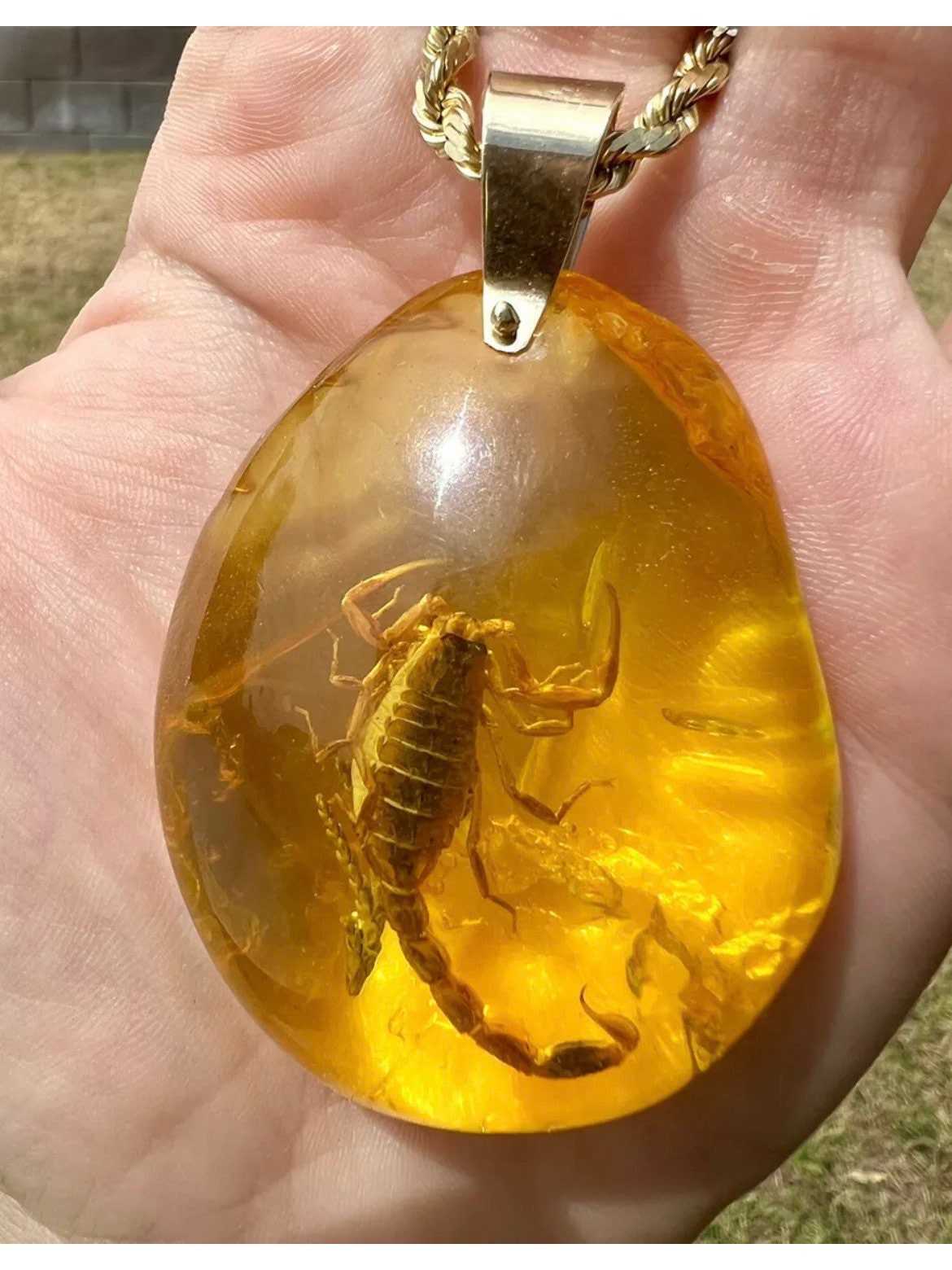 Real Scorpion Insect Amber Resin cabochon Amulet Home Decor fridge
