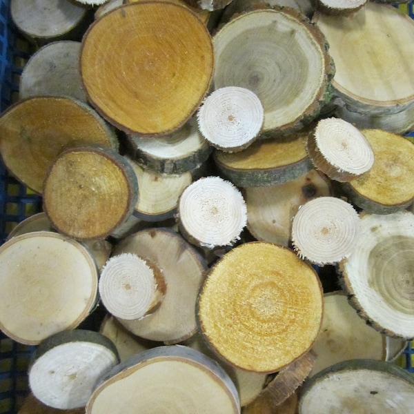 100 gemischte Astscheiben - Baumscheiben- Holzscheiben verschiedene Holzarten 4-8 cm ca. 0,7 cm dick