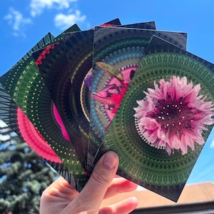 Ensemble de cartes postales Wonky Flowers