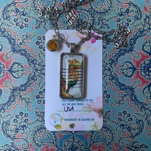 Collar de EE.UU.