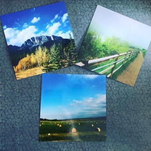 Natur Postkarten Set