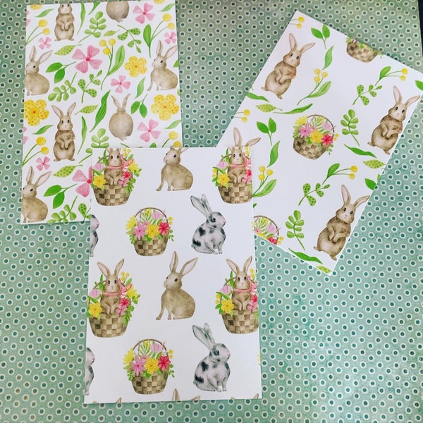 Spring bunny postcard set